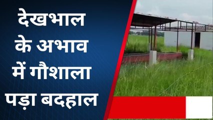 संतकबीरनगरः गौ आश्रय केन्द्र बदहाल, ग्रामीणों को आवारा पशुओं से नहीं मिल रही निजात
