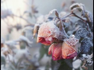 VARIATIONS ON THE THEME OF VIVALDI.4 SEASONS-WINTER-1 PART.1