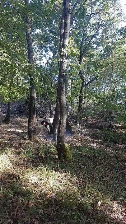 Suami Turki ku nebang kayu untuk pemanas ruangan kami di musim dingin kali ini