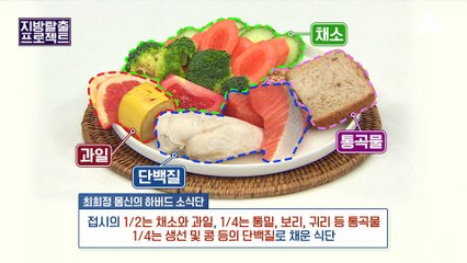 [지방탈출] 건강하게 -25kg 감량하는 ♨대식좌→소식좌♨ '하버드 소식 건강 식단'