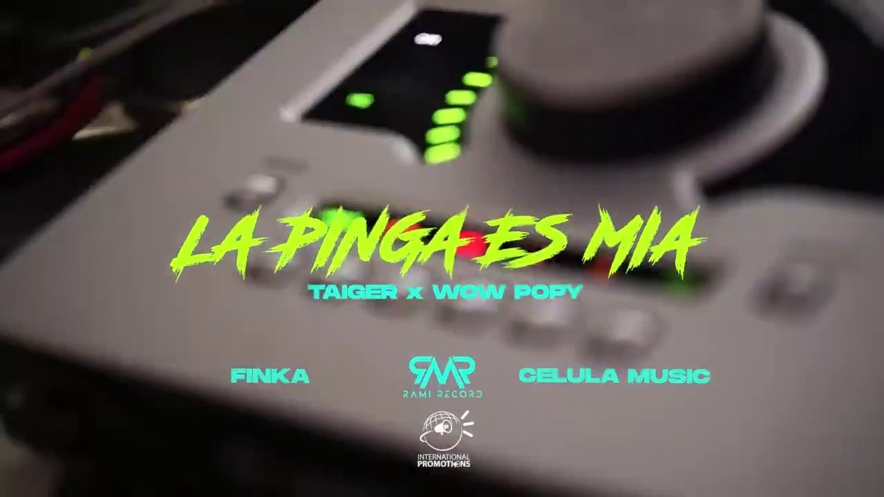 EL TAIGER, WOW POPY, DJ UNIC - LA PINGA ES MIA