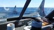 Un requin saute sur un bateau de pêcheurs (Nouvelle-Zélande)