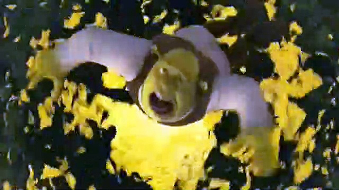 Shrek 4, il était une fin Bande-annonce (IT)