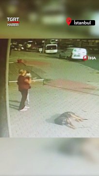 Balkona Çıkan Köpeğinin Düştüğünü Gördü Son Anda Havada Yakaladı #shorts #köpek #balkon #kadın