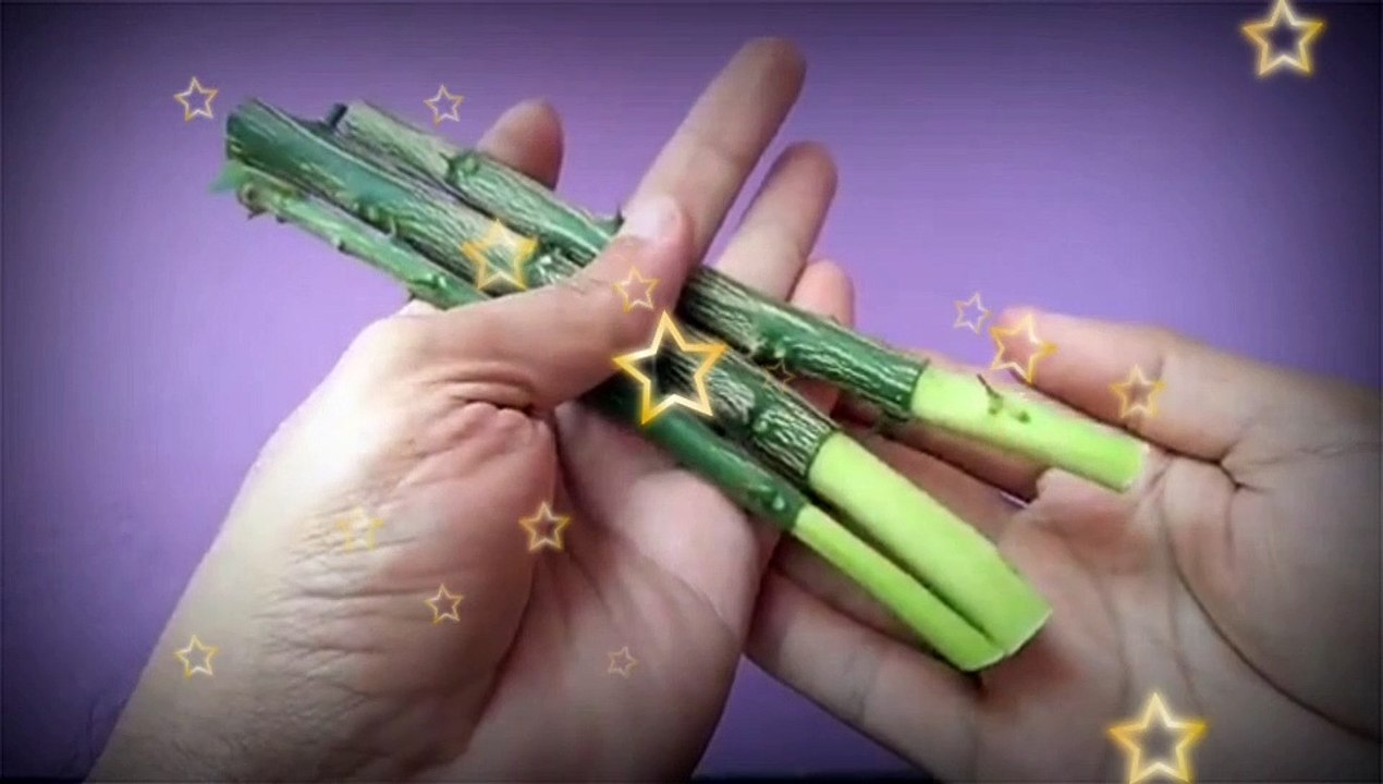 how to propagate lemon tree | how to grow lemon tree from cutting