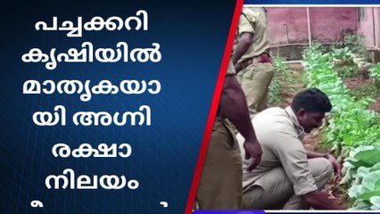 വയനാട്: ഇവര് പുലിയാണ് കേട്ടോ; പച്ചക്കറി കൃഷിയില്‍ വിജയഗാഥയുമായി അഗ്നിശമന സേന