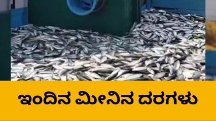 ದ.ಕ.: ನ.13; ಇಂದು ಬೂತಾಯಿ-ಬೋಂಡಾಸ್ ಮೀನುಗಳ ರೇಟ್ ಇಲ್ಲಿದೆ!