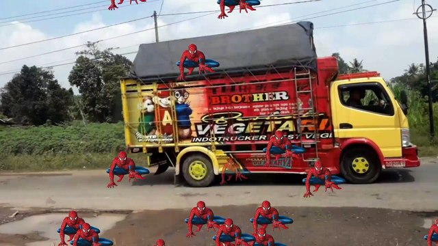 Truk muatan truk mbois truk canter truk fuso