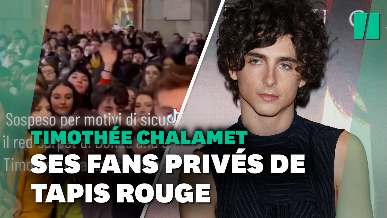 Timothée Chalamet a tellement de fans que ce tapis rouge a dû être suspendu