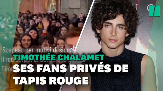 Timothée Chalamet a tellement de fans que ce tapis rouge a dû être suspendu