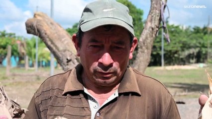 La agricultura en Centroamérica no se recupera tras el paso mortal de Julia