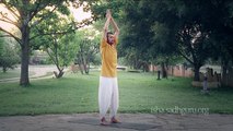 योग नमस्कार सीखें। Yoga For Beginners - Yoga Namaskar