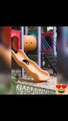 Tingkah kucing menggemaskan