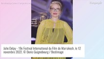 Virginie Efira dévoile son ventre au bras de Niels Schneider, Laurent Lafitte avec une moustache acérée à Marrakech