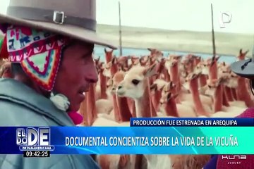"Vicuña Salvation": documental busca concientizar sobre la preservación de este auquénido