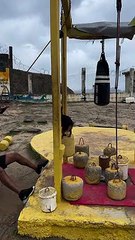 Dog Spots For Man Working Out