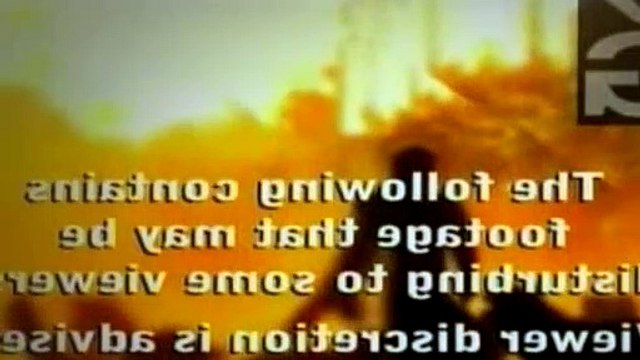 The Dog Whisperer Season 5 Episode 15 Inside Puppy Mills