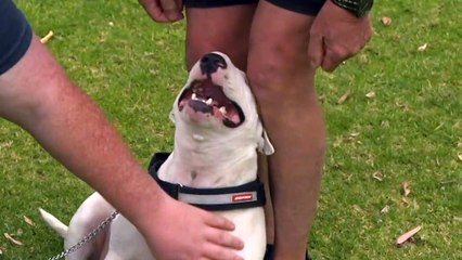 World-first clinical trial in Perth could lead to breakthrough treatment for children with sarcoma