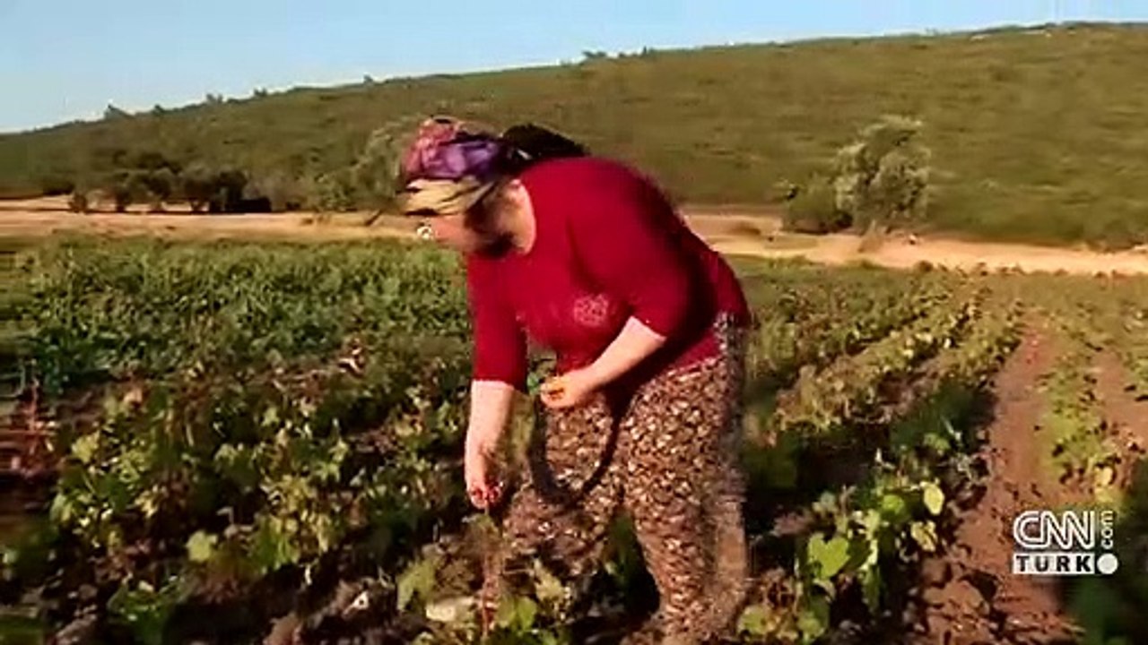 İş kurana, çiftçiye, teknolojiye destek: Hangi destek için nereye başvuru yapılabilir?