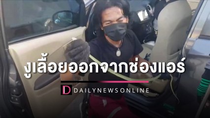 กรี๊ดลั่นกลางถนนช็อกงูเลื้อยออกจากช่องแอร์ คอหวยไม่พลาดแห่ส่องทะเบียนรถ | HOTSHOT เดลินิวส์ 14/11/65