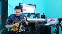 MELODI CINTA - RHOMA IRAMA - MANDOLIN COVER