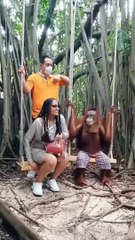 funny animals video #Shorts #china #singapur #turkey #india #pk #pranks #funny #israeil #agra #lando