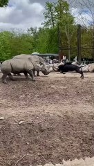 #turkey #india #pk #pranks #funny #israeil #agra #lando