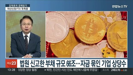 [김대호의 경제읽기] FTX 파산 신청 '일파만파'…국내외 시장 영향은?