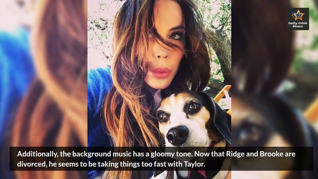 Taylor Life Changing Decision Hurts Ridge and Steffy CBS Bold and the Beautiful