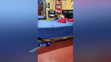 Funny Cats 2022 | Four Minutes Of Laughter