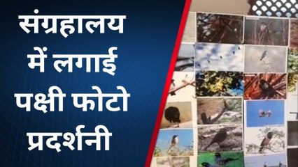 झालावाड़ : राजकीय संग्रहालय में लगाई पक्षी फोटो प्रदर्शनी, बड़ी संख्या में देखने पहुंच रहे लोग
