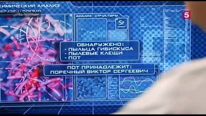 След. Потеряшки — Помощь в поиске пропавших питомцев 🐾