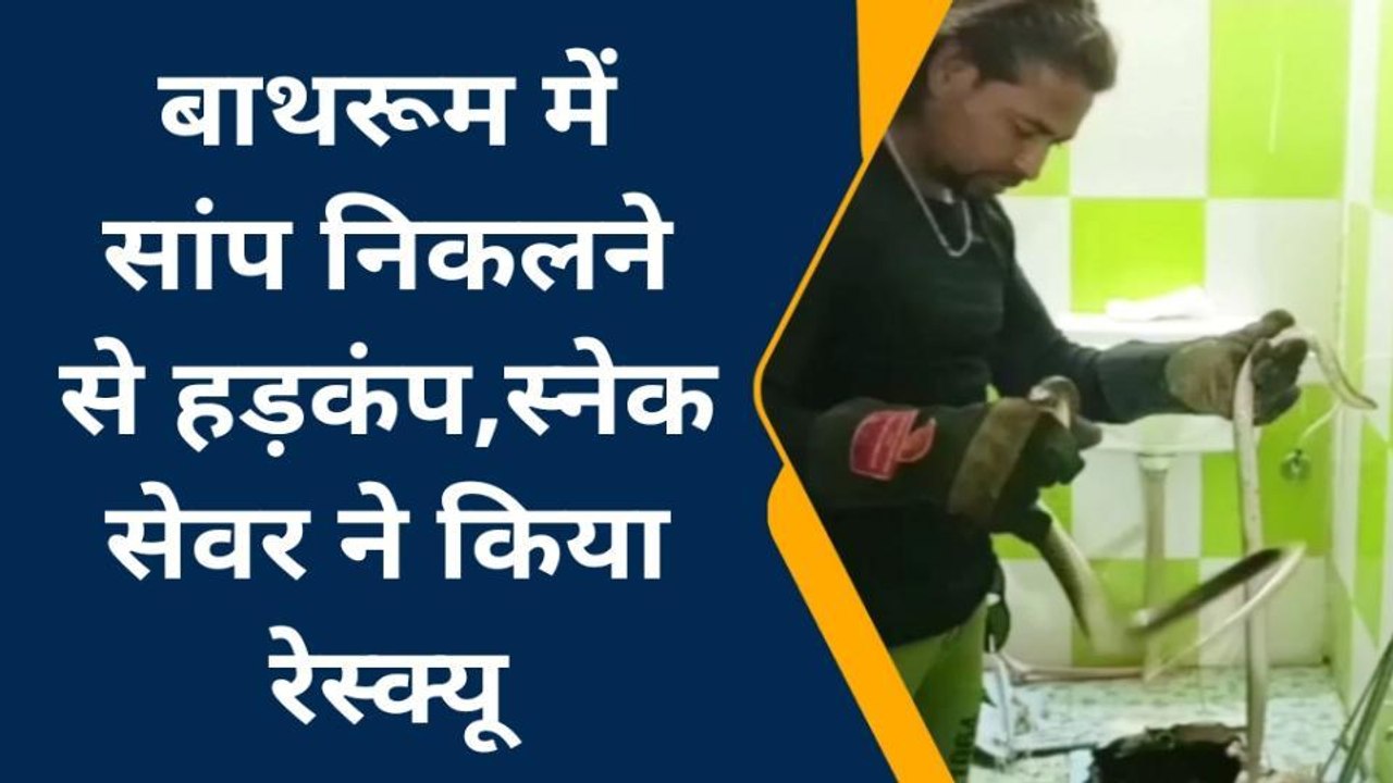 विदिशा: घर के बाथरूम में घुसकर बैठ गया कोबरा, रेस्क्यू के लिए फिर करना पड़ा ये काम
