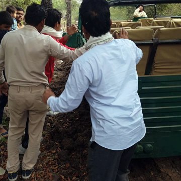 जंगल में कीचड़ में धंसा कैंटर, पर्यटकों की अटकी सांसे