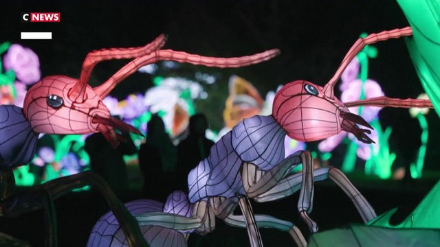 Des insectes géants illuminent le Jardin des Plantes