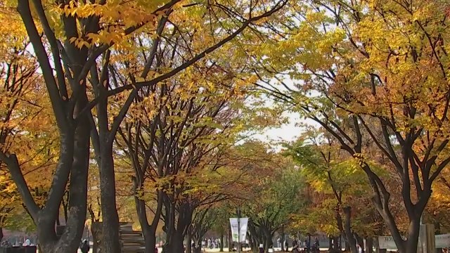 [날씨] 밤사이 기온 '뚝' 서울 아침 4℃...수능일 맑고 큰 일교차 / YTN