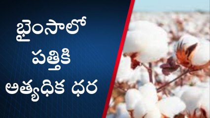 ముథోల్: మార్కెట్లో పత్తికి రికార్డు స్థాయి ధర