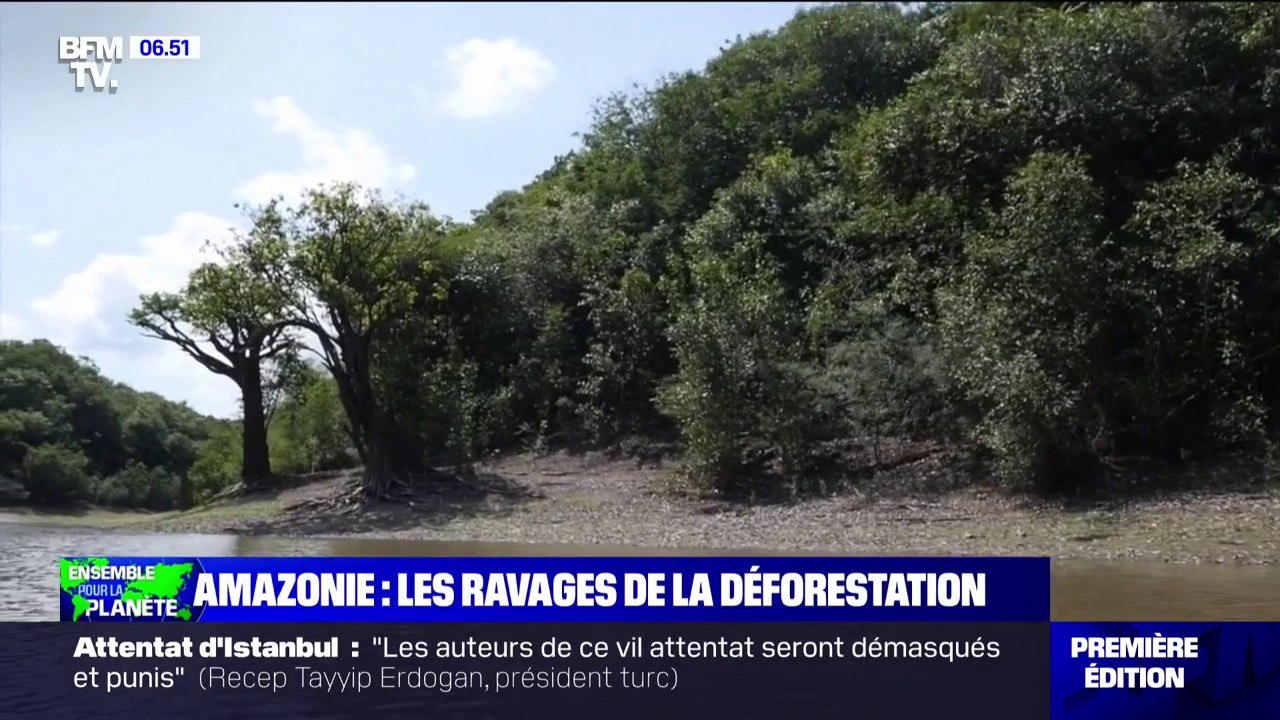 Les effets visibles du réchauffement climatique en Amazonie