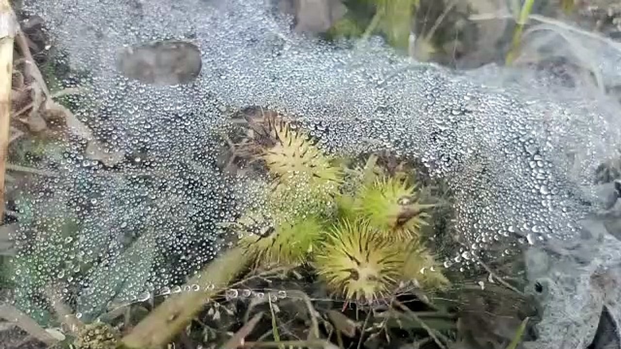 राजस्थान में आज से फिर होगी बरसात, तापमान गिरने...