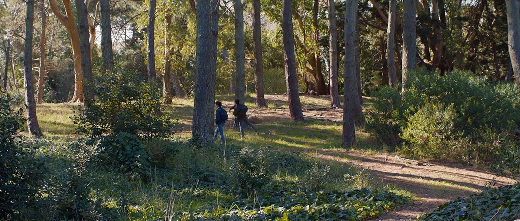 Sublime Trailer OmdU