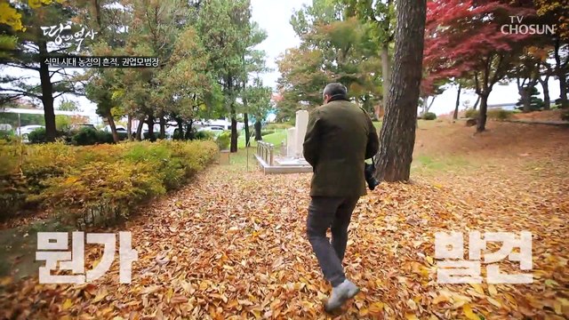 농업 연구소 입지에 뛰어난 수원의 가치를 알아본 일본 TV CHOSUN 221114 방송
