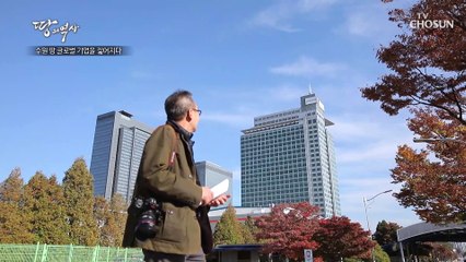 수원에 둥지를 튼 대한민국을 책임지는 글로벌 기업 삼성 TV CHOSUN 221114 방송