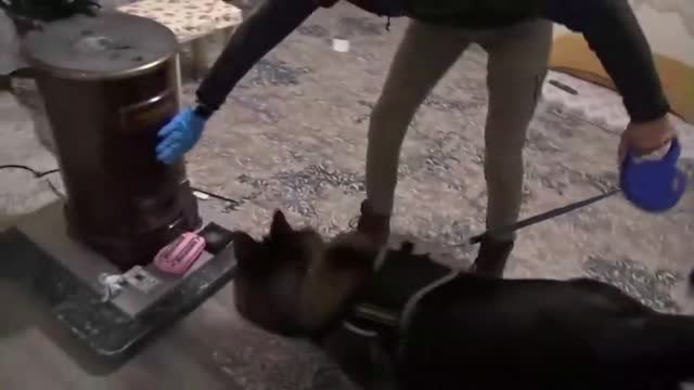 Espectacular detención en Turquía de una sospechosa del atentado en Estambul