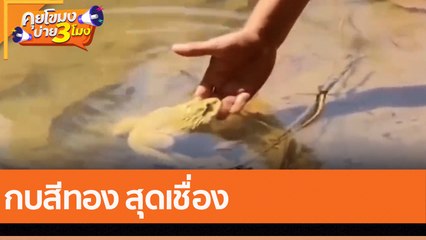 กบสีทอง สุดเชื่อง(14 พ.ย. 65) คุยโขมงบ่าย 3 โมง