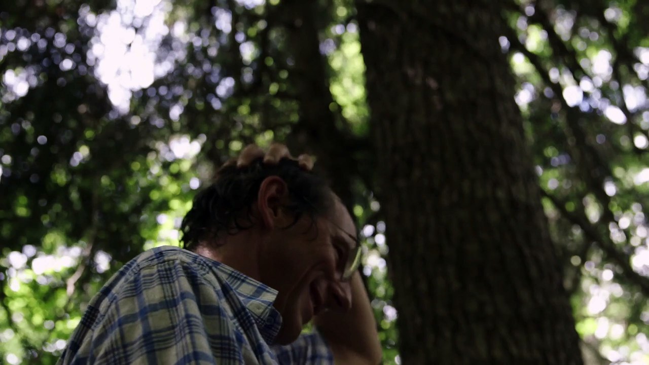 La symphonie des arbres