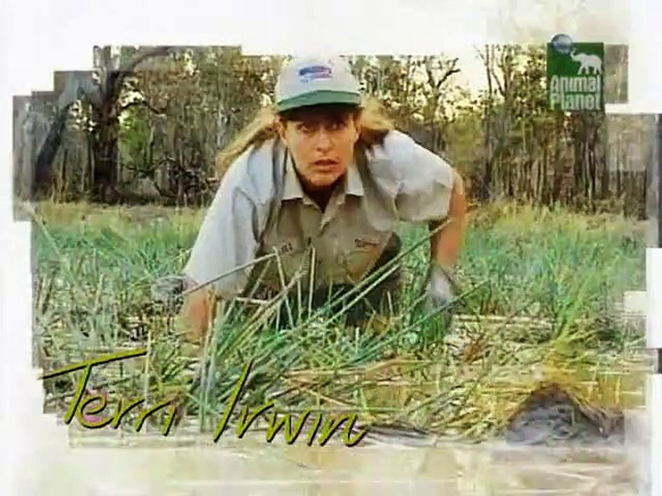 Crocodile Hunter Staffel 8 Folge 2 HD Deutsch