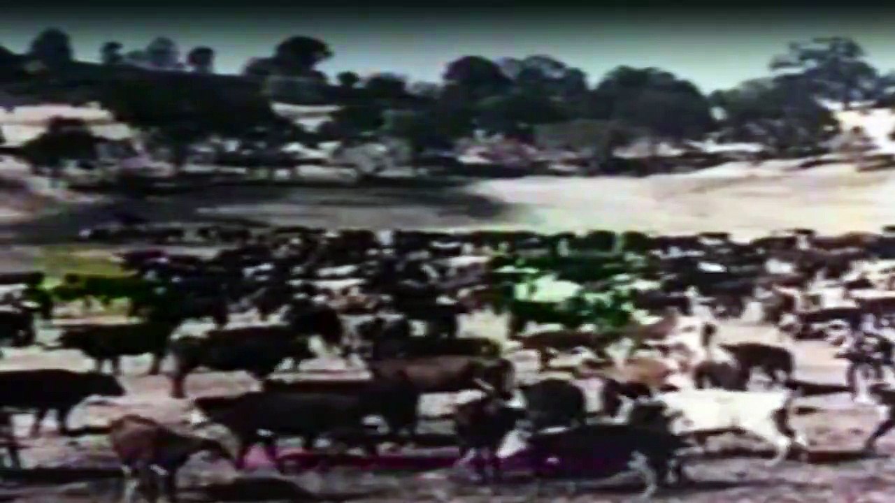 Die Leuteder Shiloh Ranch Staffel 4 Folge 17 - Part 01 HD Deutsch