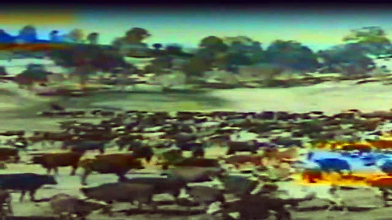 Die Leuteder Shiloh Ranch Staffel 4 Folge 14 - Part 01 HD Deutsch