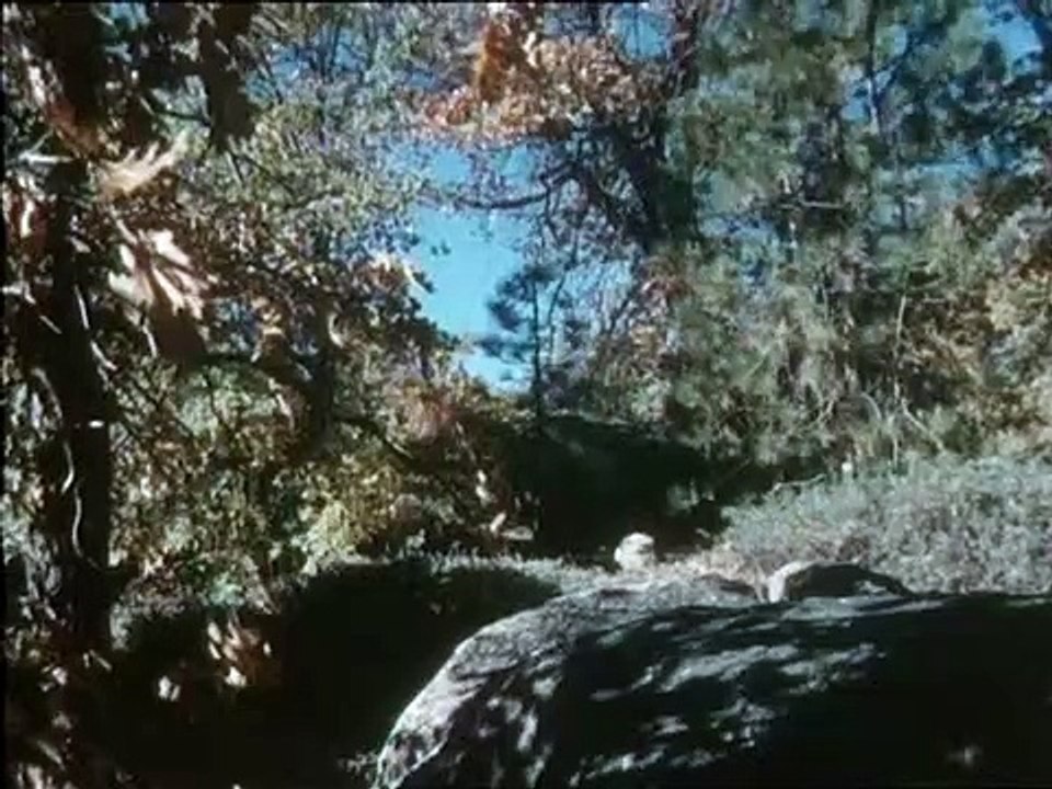 Bonanza Staffel 13 Folge 16 HD Deutsch