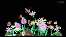 Au jardin des plantes, un exposition en immersion parmi les plus petits êtres vivants